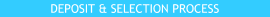 Deposit & Selection process for Beau Monde Labradoodles of California, New York, Chicago, and Florida 