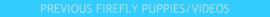 Firefly puppies and videos